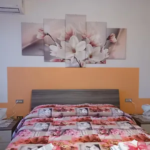 Quo Vadis Qui Vieni , Rovigo Italia